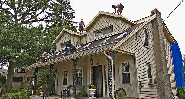 Best Roof Repair Specialists  in USA